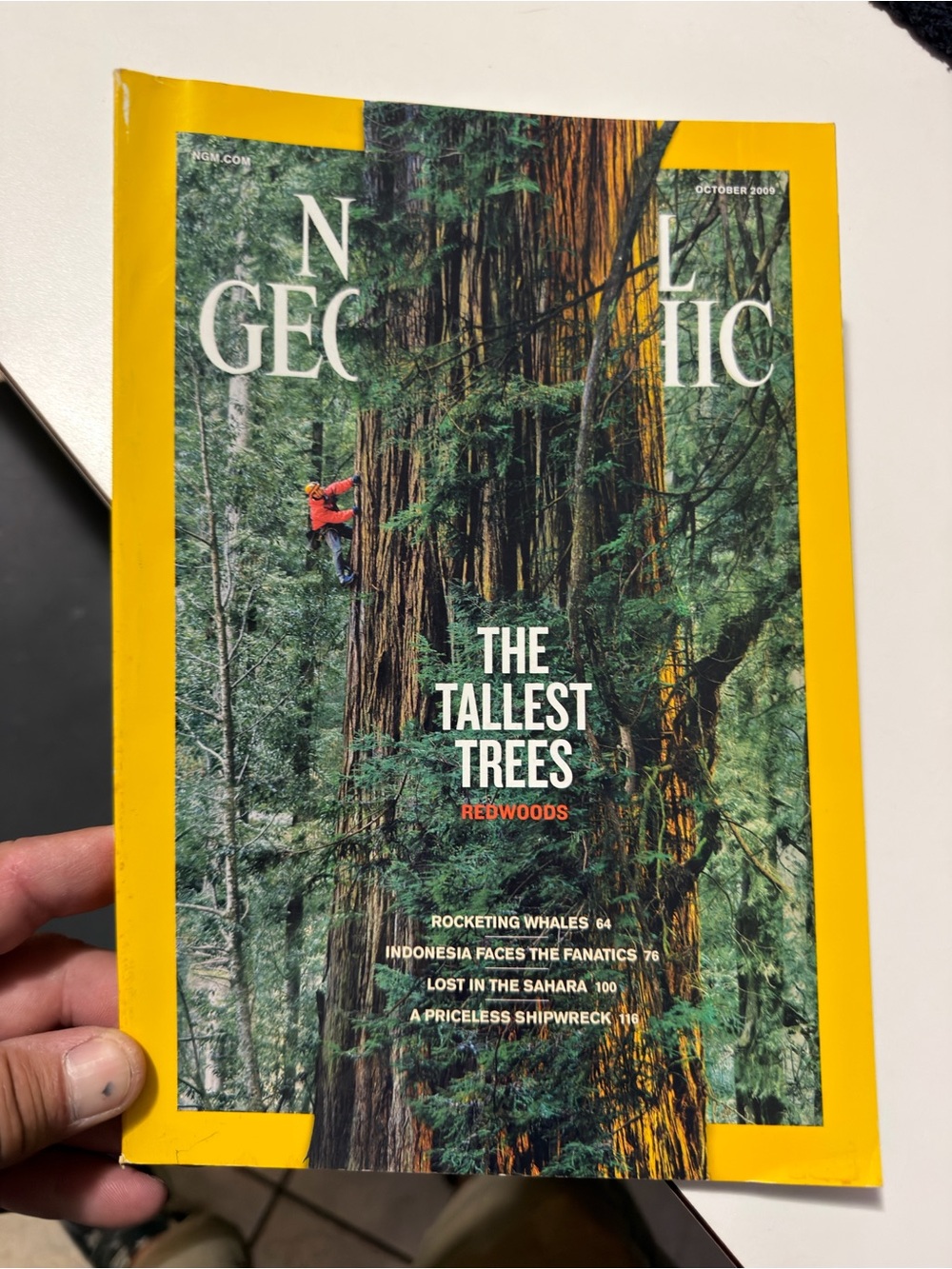 National Geographic Green Car Illustration with Yellow Accents